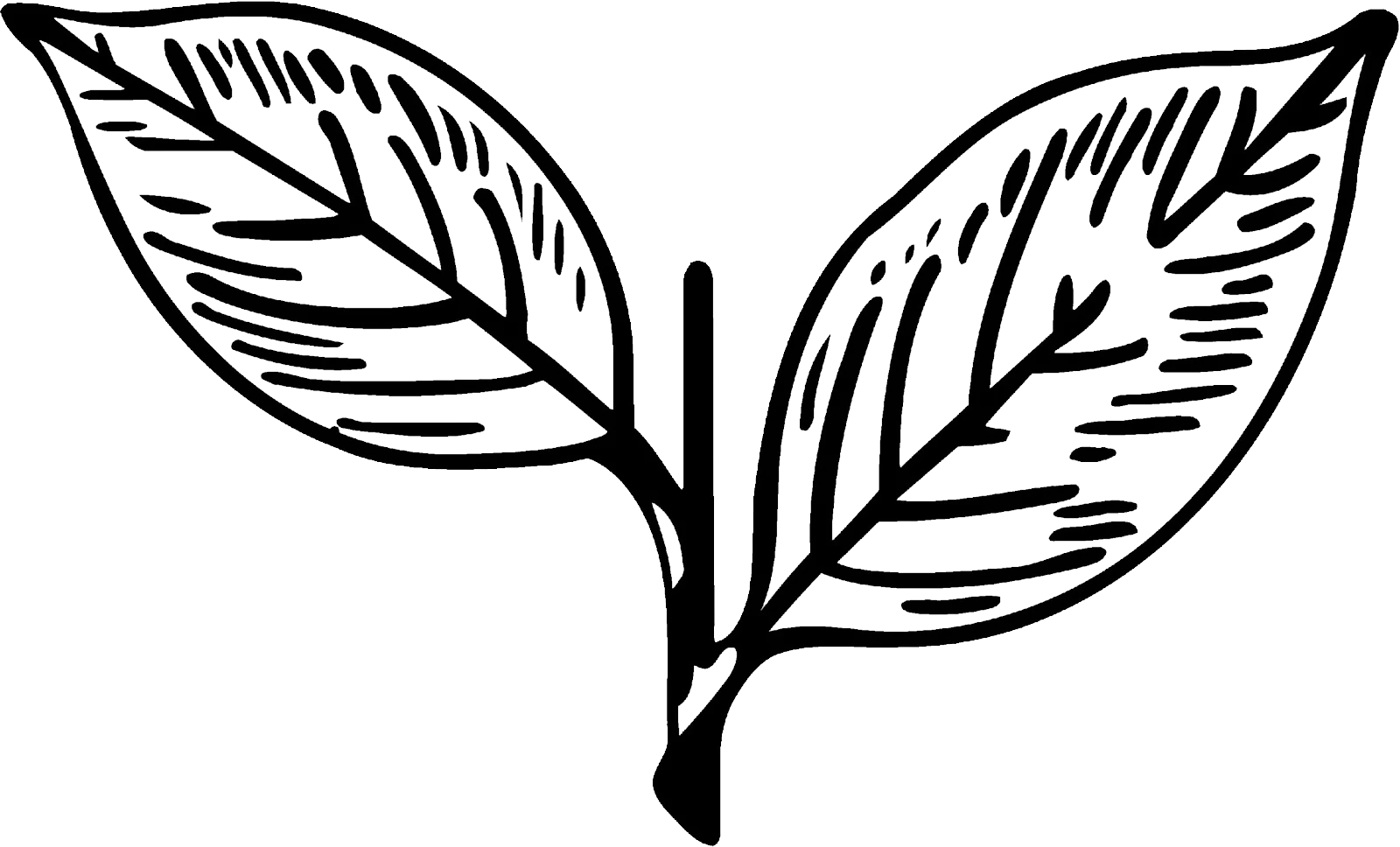 AIADMK two leaves