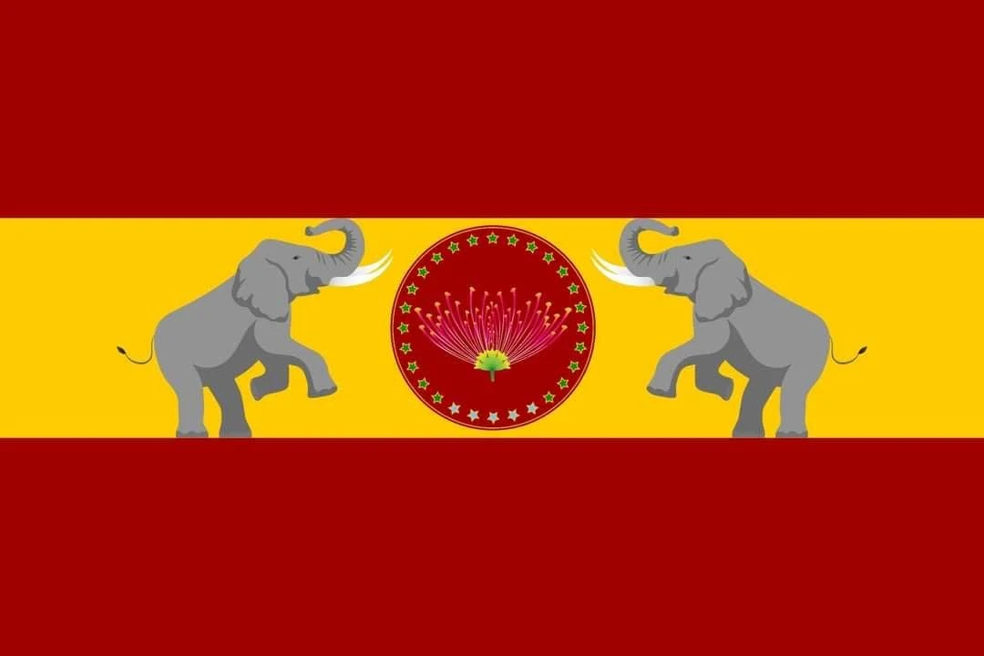 TVK flag